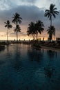 Palm trees on amazing tropical sea beach during sunset. Nature Royalty Free Stock Photo