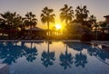 Palm trees around swimming pool in a beach hotel at sunset Royalty Free Stock Photo