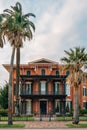 Palm trees and the Ashton Villa, in Galveston, Texas Royalty Free Stock Photo