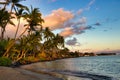 Palm trees at Baby Beach at sunset. Royalty Free Stock Photo