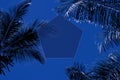 Palm trees background, monochrome blue style. Pentagon frame in the middle. Concept travel, vacation