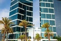 Palm trees on the background of tall buildings, Lima, Peru 2019-12-07.