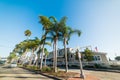 Palm trees in Balboa Island, Newport Beach Royalty Free Stock Photo