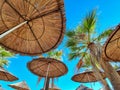 Palm trees and bamboo sunshades on the beach, bottom view Royalty Free Stock Photo