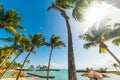 Palm trees in Bas du Fort beach in Guadeloupe Royalty Free Stock Photo