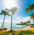 Palm trees in Bas du Fort beach in Guadeloupe Royalty Free Stock Photo