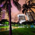 Palm trees in Bayfront Park in downtown Miami at night Royalty Free Stock Photo