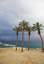 Palm trees and beach canopies in a thunder-storm Royalty Free Stock Photo