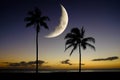 Palm Trees on Beach in Hawaii with Moon in Sky Royalty Free Stock Photo