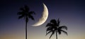 Palm Trees on Beach in Hawaii with Moon in Sky Royalty Free Stock Photo