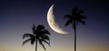 Palm Trees on Beach in Hawaii with Moon in Sky Royalty Free Stock Photo