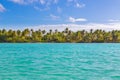 Palm trees on the beach of Isla Saona Royalty Free Stock Photo