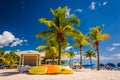 Palm trees on the beach in Key West, Florida. Royalty Free Stock Photo