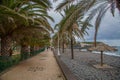 Palm trees, beach and ocean on Madeira island, Portugal Royalty Free Stock Photo