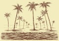 Palm trees beach panorama Royalty Free Stock Photo