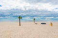 Palm Trees on Beach in Pass Christian Mississippi