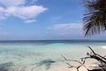 Palm trees, beach and sea in the Maldives