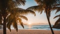 palm trees on the beach beach with palm trees and the sun shining through the clouds at dusk Royalty Free Stock Photo