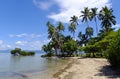 Palm trees on a beach, Vanua Levu island, Fiji Royalty Free Stock Photo