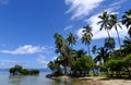 Palm trees on a beach, Vanua Levu island, Fiji Royalty Free Stock Photo