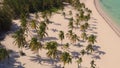 Palm trees on the beach view from above