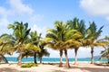 Palm trees on the beach with white sand, blue sea and sky with clouds background Royalty Free Stock Photo