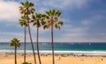 Palm trees on a beach and yachts at ocean