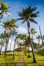 Palm trees on the beautiful Anakena beach, Easter Island Royalty Free Stock Photo