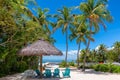 Palm trees on beautiful beach in tropical resort