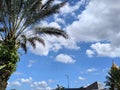 palm trees and beautiful sky make a perfect blend Royalty Free Stock Photo