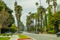 Palm trees at Beverly Gardens Park. Royalty Free Stock Photo