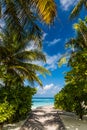 Palm trees and blue lagoob with blue sky and clouds.