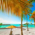 Palm trees and blue sea in Bas du Fort beach in Guadeloupe Royalty Free Stock Photo