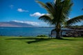 Palm trees on blue sky, palm at tropical coast, coconut tree. Palms exotic pattern. Royalty Free Stock Photo