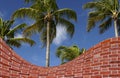 Palm trees and brick wall fake