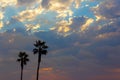 Palm trees and dramatic sky with beautiful sunset