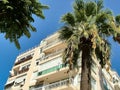 Palm trees, building, blue sky Royalty Free Stock Photo