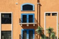 Palm trees and building with closed windows outdoors Royalty Free Stock Photo