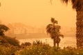 Palm trees and buildings on the beach of canarian island. Calima sand wind with dust from Africa. Calima sandstorm on