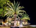 Palm trees and the buildings in the night lights in Marina Porto Royalty Free Stock Photo