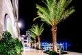 Palm trees and the buildings in the night lights in Marina Porto Royalty Free Stock Photo