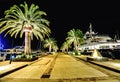 Palm trees and the buildings in the night lights in Marina Porto Royalty Free Stock Photo