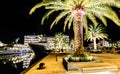 Palm trees and the buildings in the night lights in Marina Porto Royalty Free Stock Photo