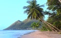 The palm trees on Caribbean beach, Martinique island. Royalty Free Stock Photo