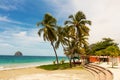 The palm trees on Caribbean beach, Martinique island. Royalty Free Stock Photo