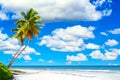 Palm trees on the caribbean tropical beach against blue cloudy sky. Saona Island, Dominican Republic. Vacation travel background Royalty Free Stock Photo