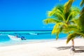 Palm trees on the caribbean tropical beach with boats and turquoise sea. Saona Island, Dominican Republic. Vacation travel Royalty Free Stock Photo