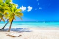Palm trees on the caribbean tropical beach. Saona Island, Dominican Republic. Vacation travel background Royalty Free Stock Photo