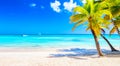 Palm trees on the caribbean tropical beach. Saona Island, Dominican Republic. Vacation travel background. Banner wide format Royalty Free Stock Photo