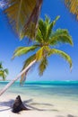 Palm trees on caribbean wild beach, Punta Cana Royalty Free Stock Photo